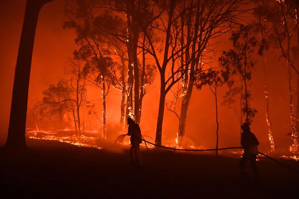 Los incendios se hacen “inextinguibles” con el cambio climático