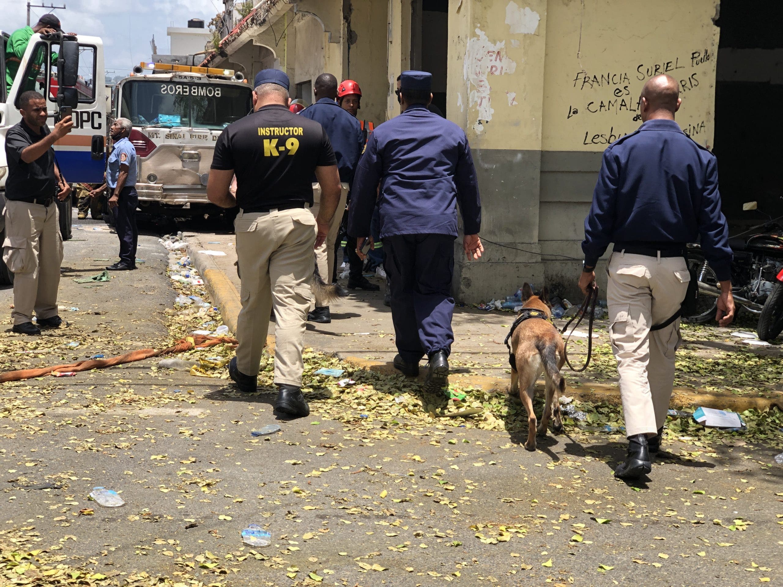 Héroes caninos protagonistas de la tragedia en San Cristóbal./// FOTO Ronny De la Rosa