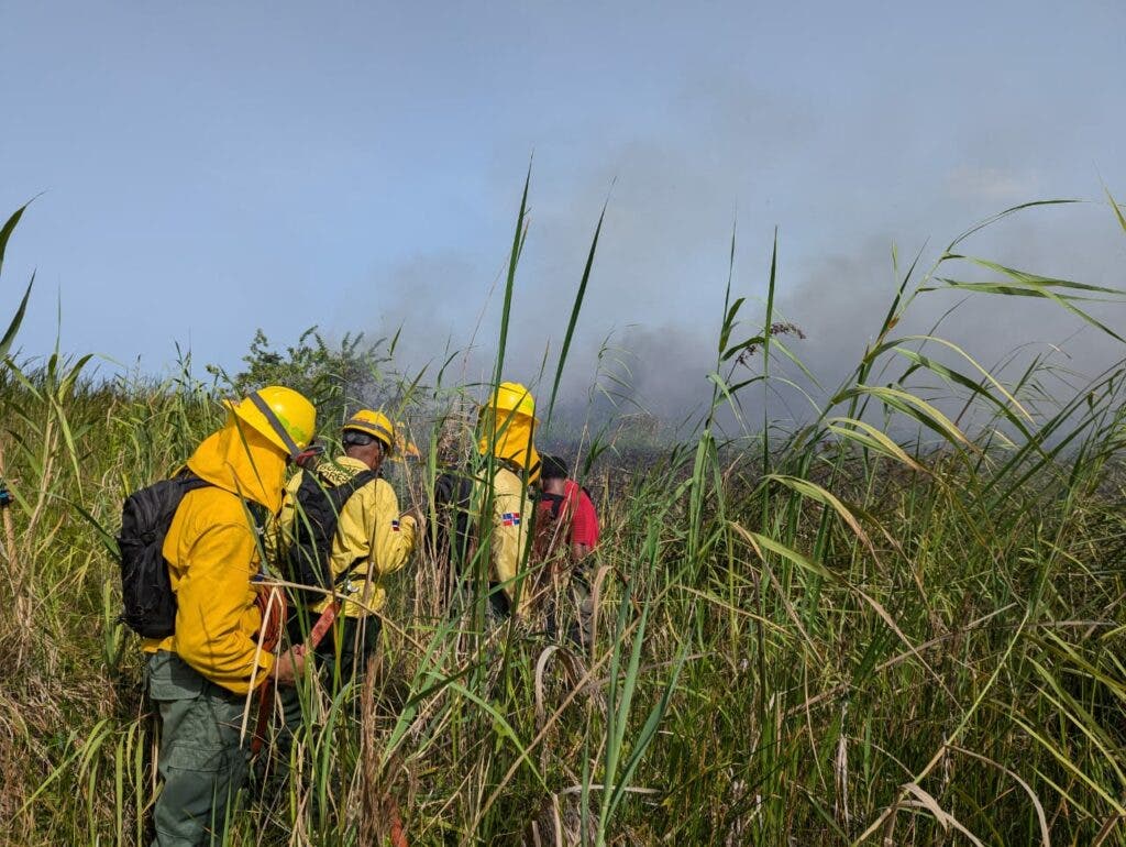 Bomberos forestales y guardaparques extinguieron el incendio en Cabarete y Goleta 2